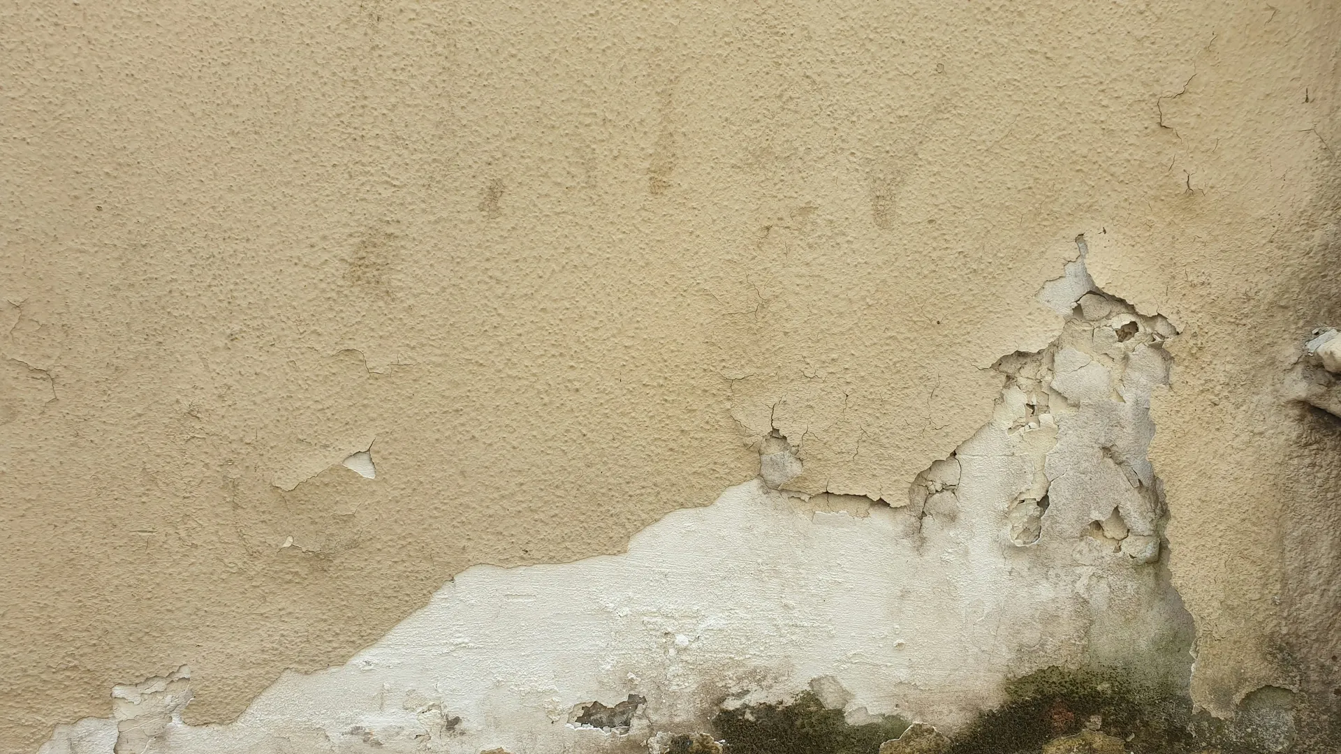 Mur présentant des problèmes d'humidité